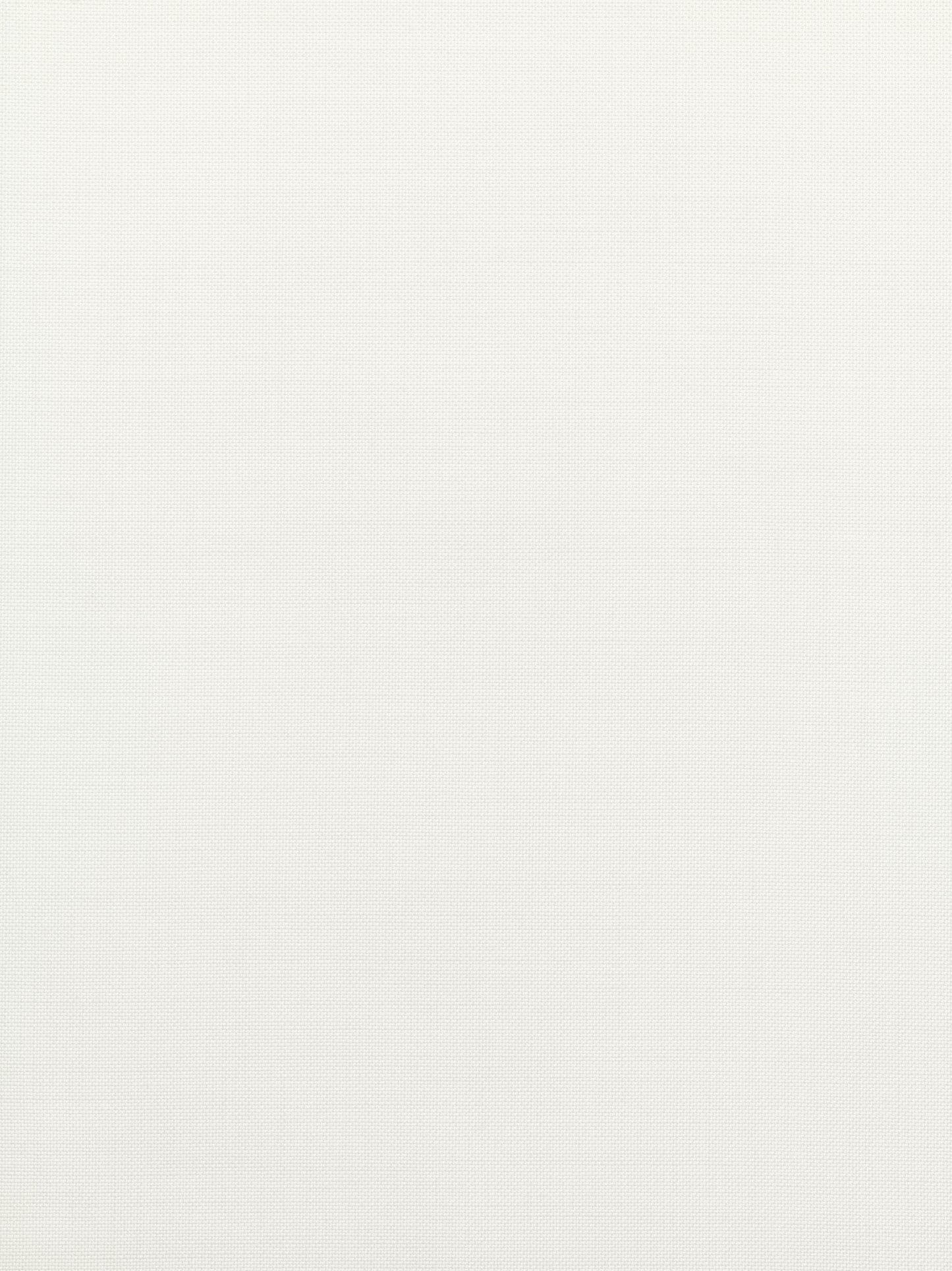 Transparent Roller blind