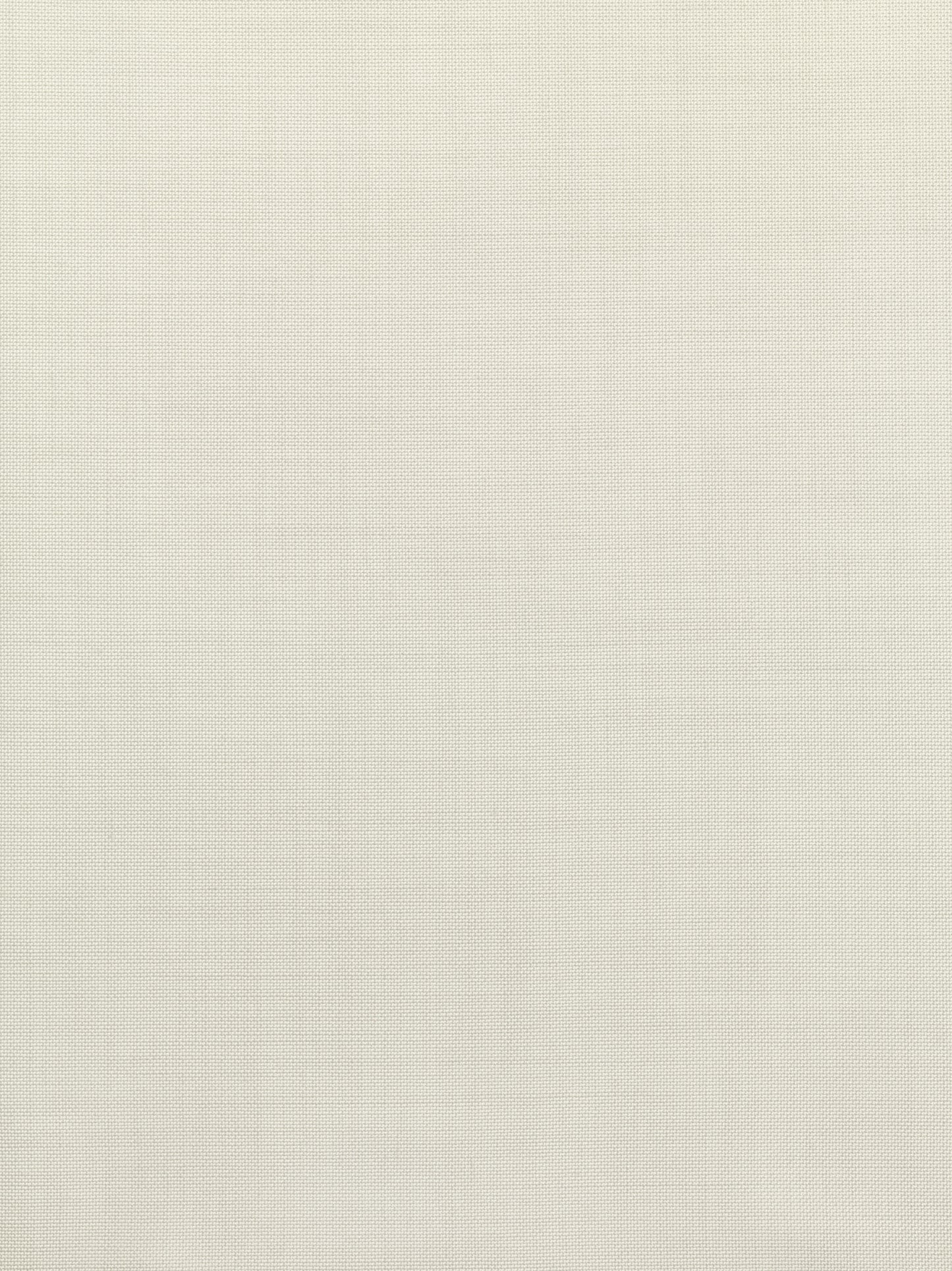 Transparent Roller blind